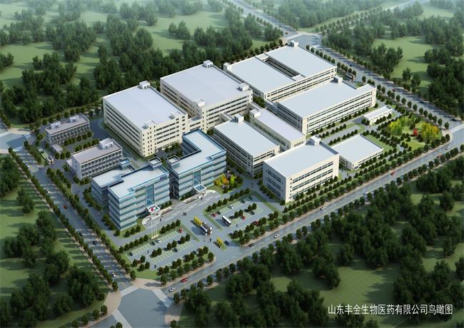 山東豐金生物醫(yī)藥有限公司廠房建設項目